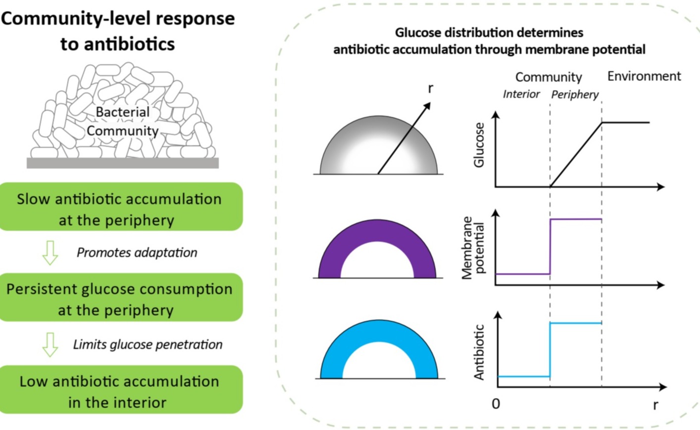2025新澳门开门原料免费