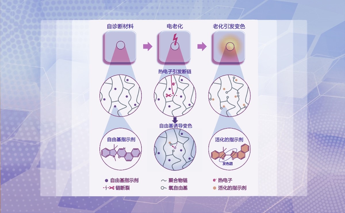 2025新澳门开门原料免费