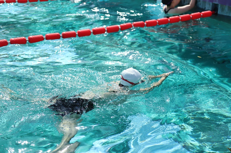 2025新澳门开门原料免费