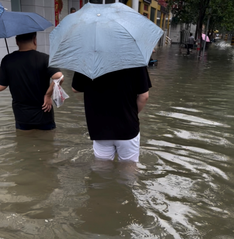 2025新澳门开门原料免费