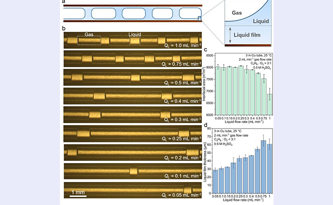 2025新澳门开门原料免费