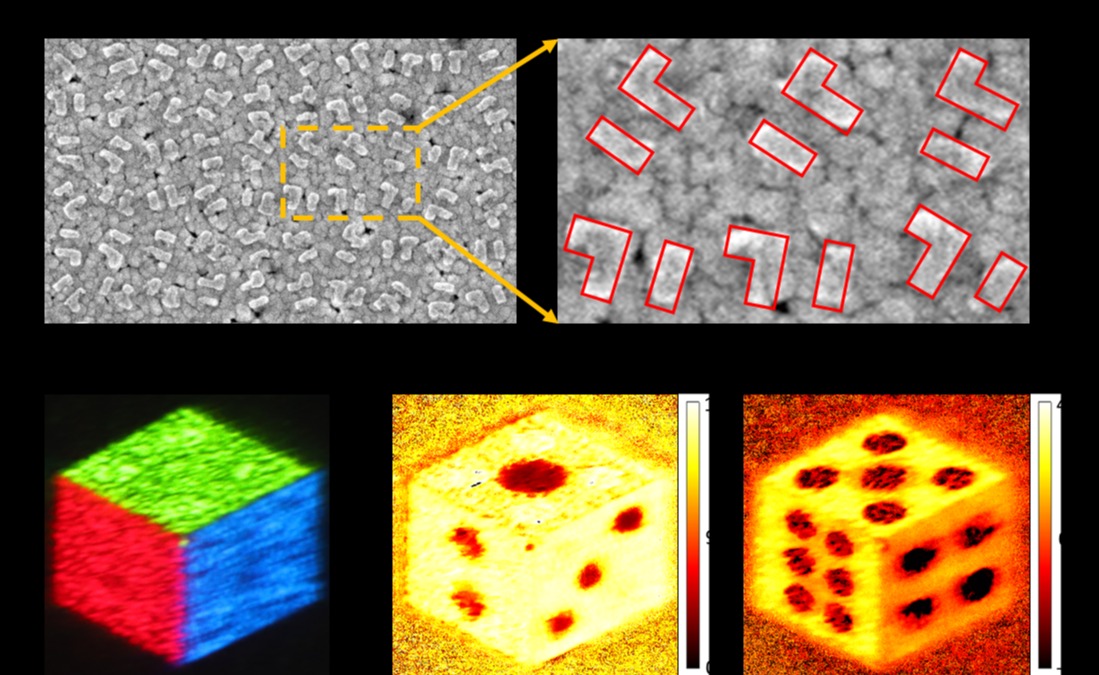 2025新澳门开门原料免费