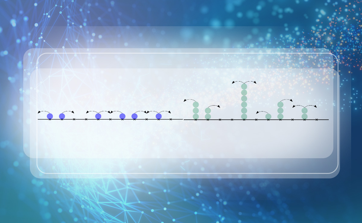 2025新澳门开门原料免费