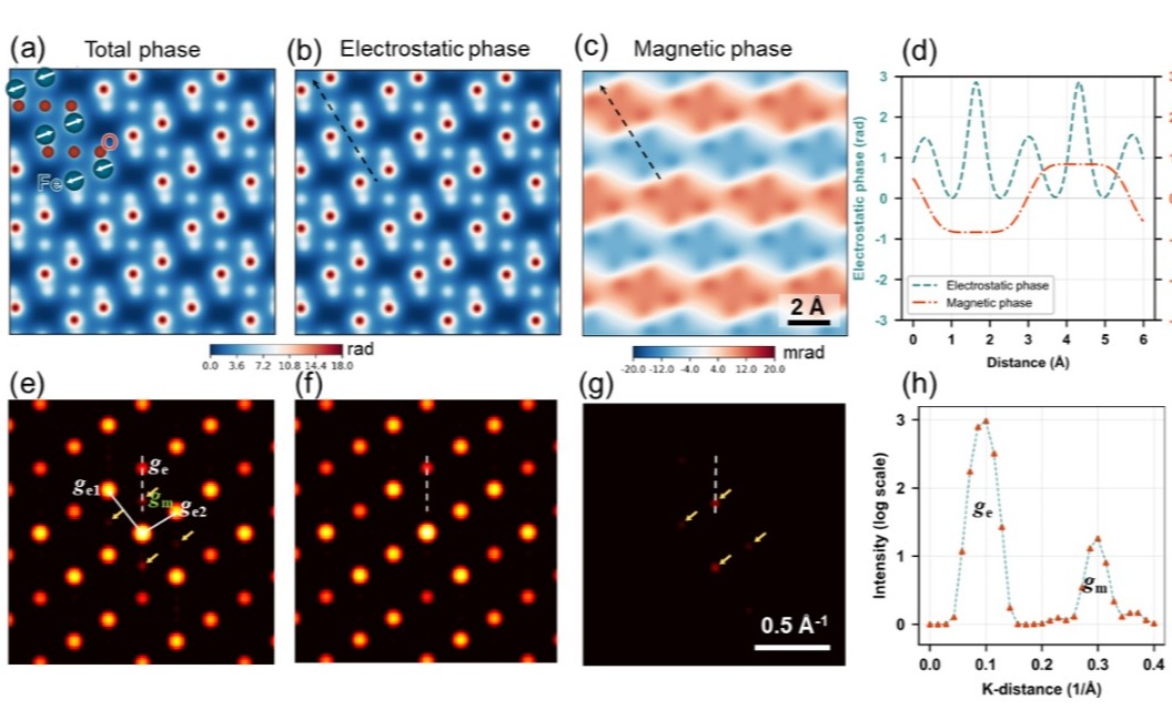2025新澳门开门原料免费
