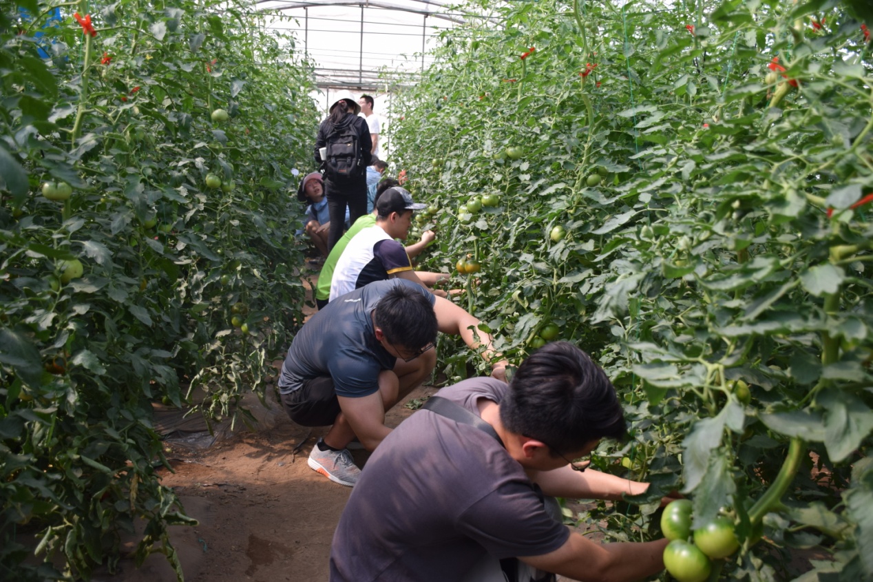 2025新澳门开门原料免费