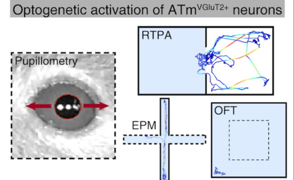 2025新澳门开门原料免费