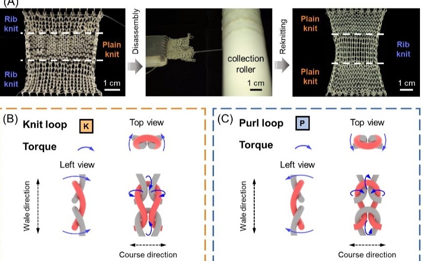 2025新澳门开门原料免费