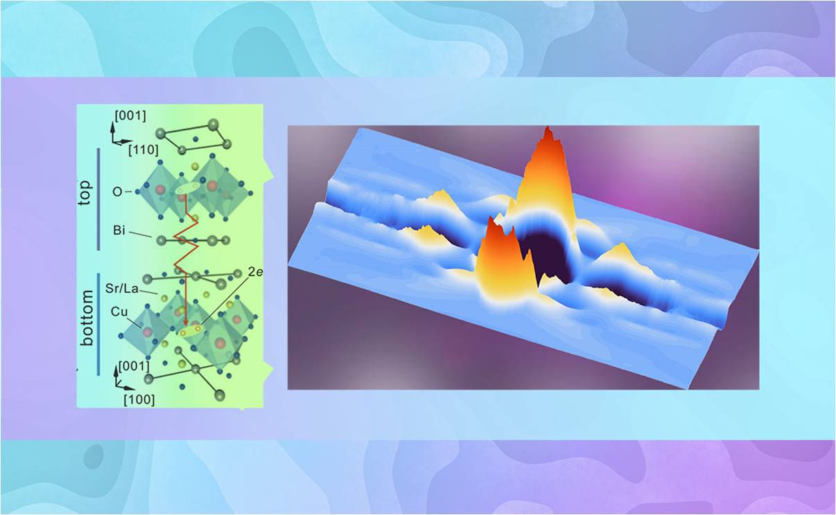 2025新澳门开门原料免费