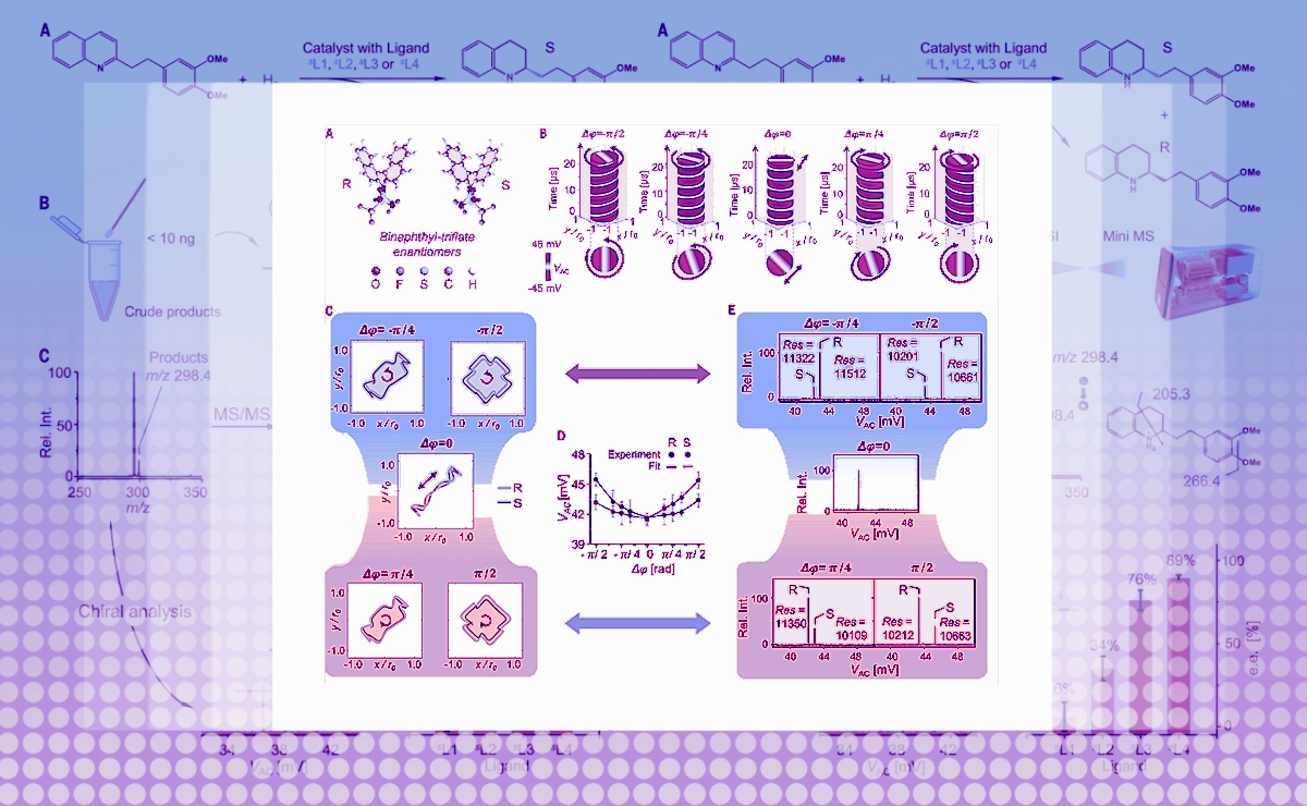 2025新澳门开门原料免费