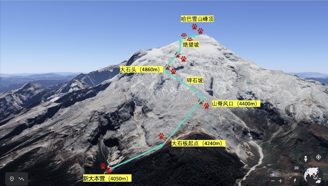 2025新澳门开门原料免费