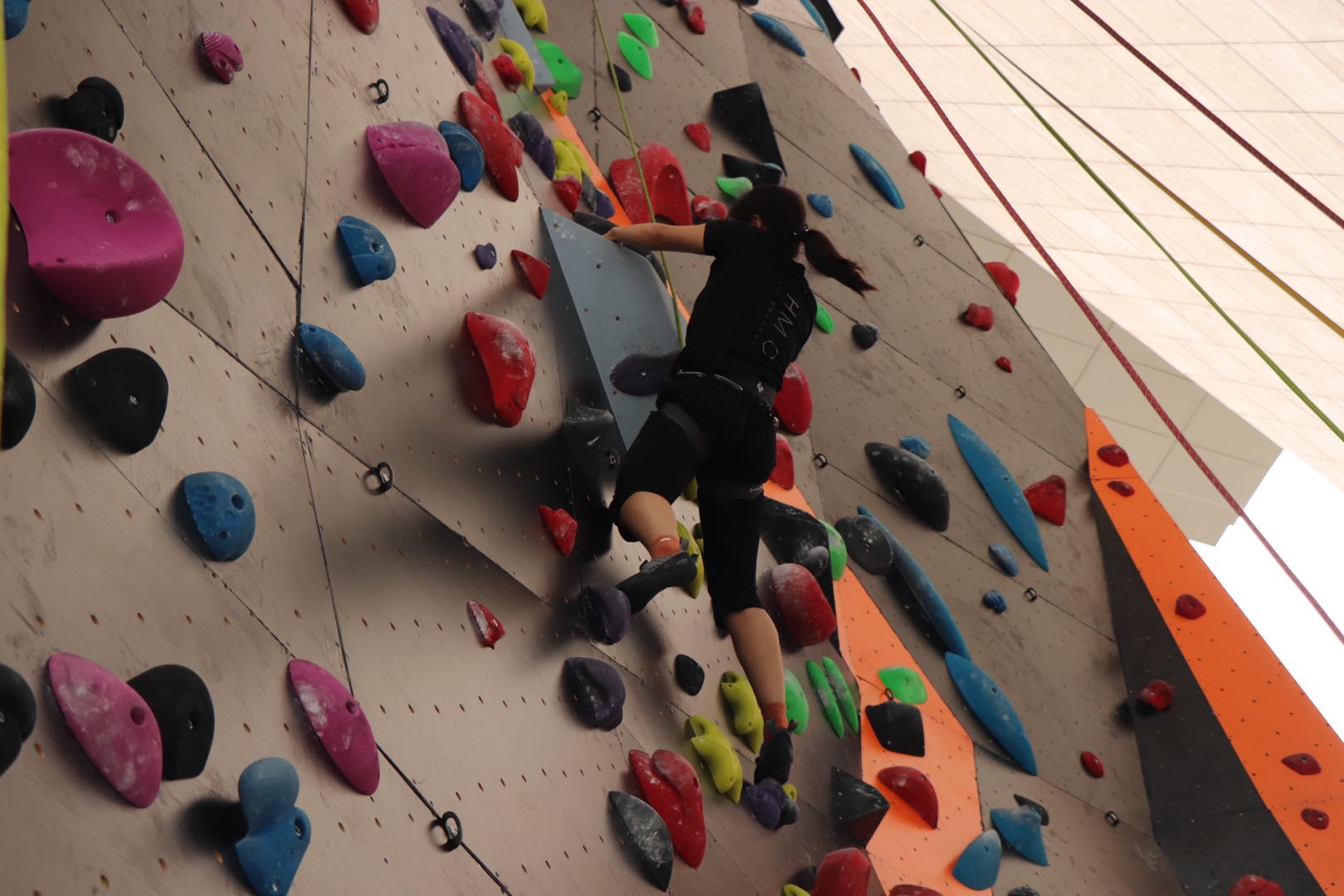 2025新澳门开门原料免费