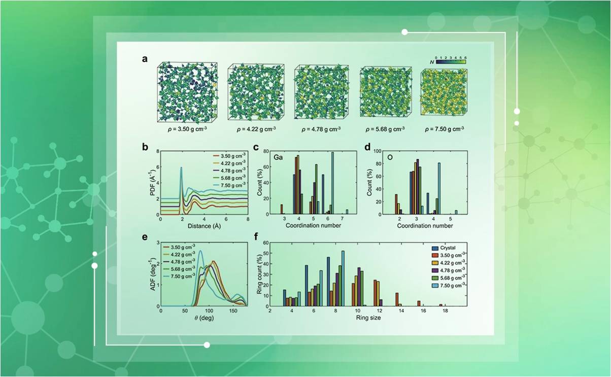 2025新澳门开门原料免费