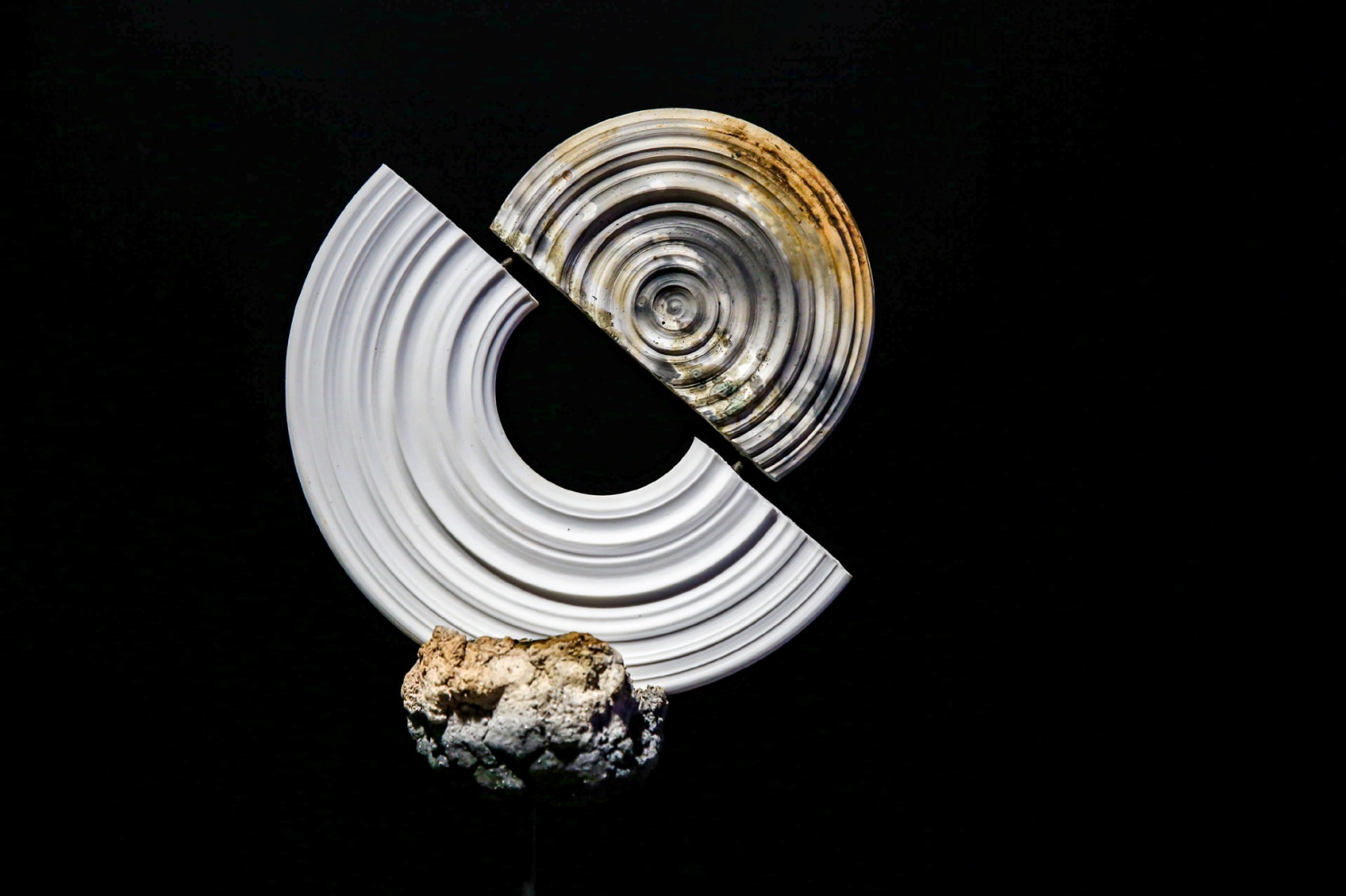 2025新澳门开门原料免费