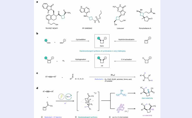 2025新澳门开门原料免费