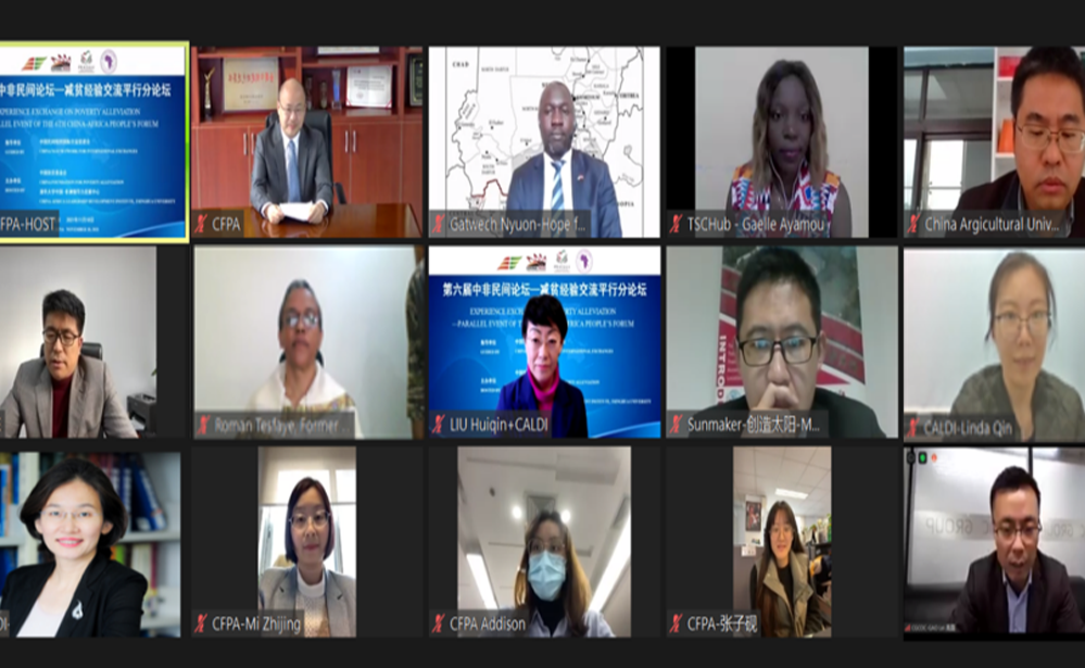 2025新澳门开门原料免费