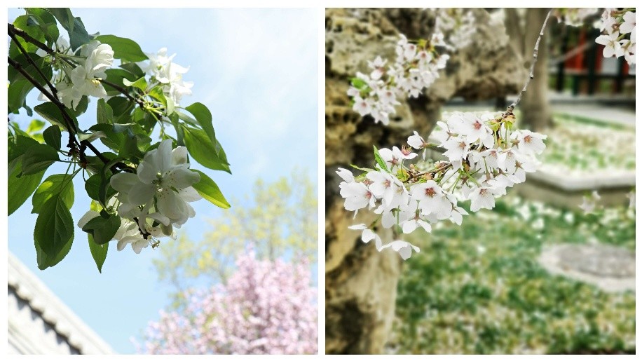 2025新澳门开门原料免费