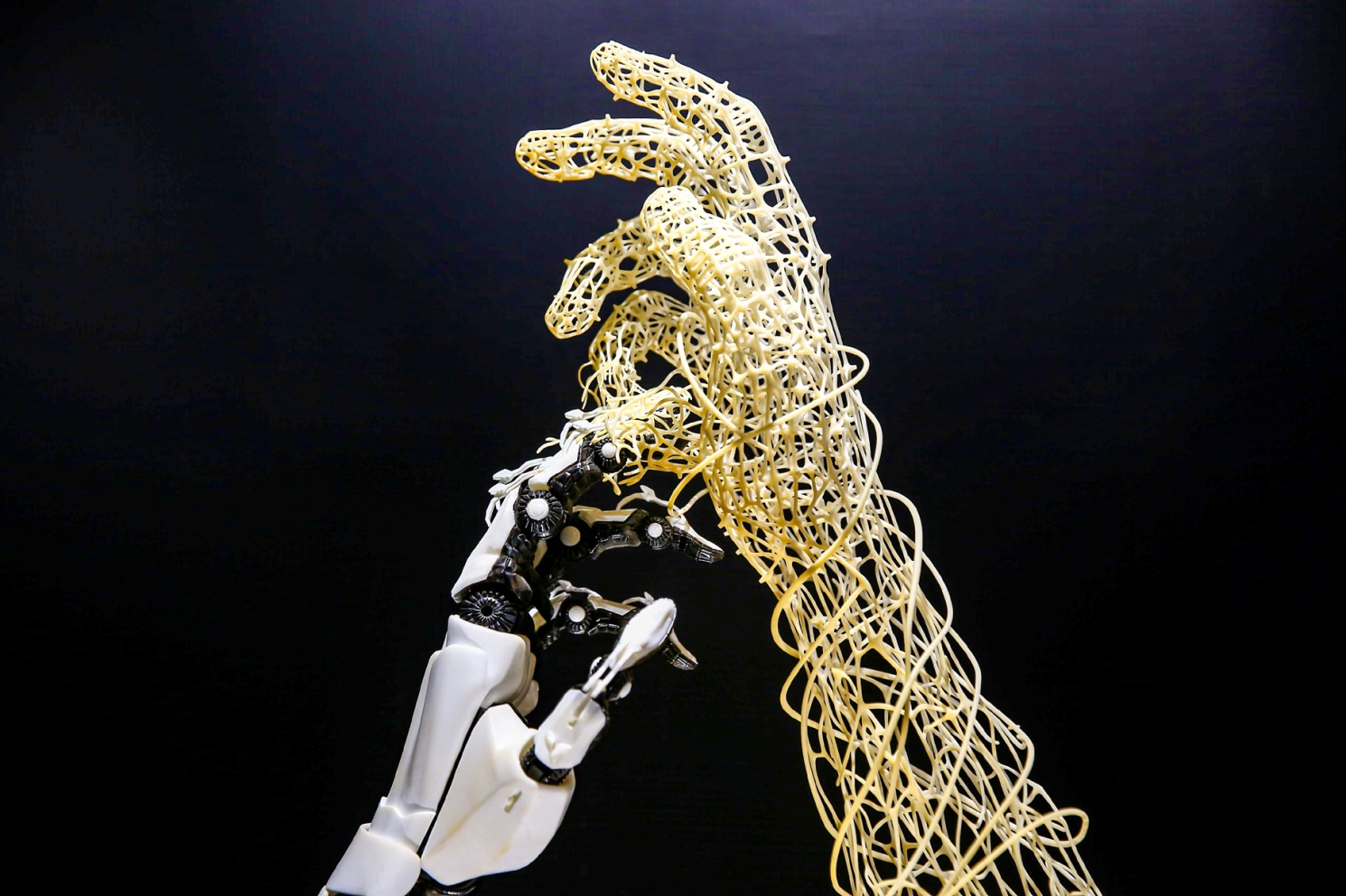 2025新澳门开门原料免费