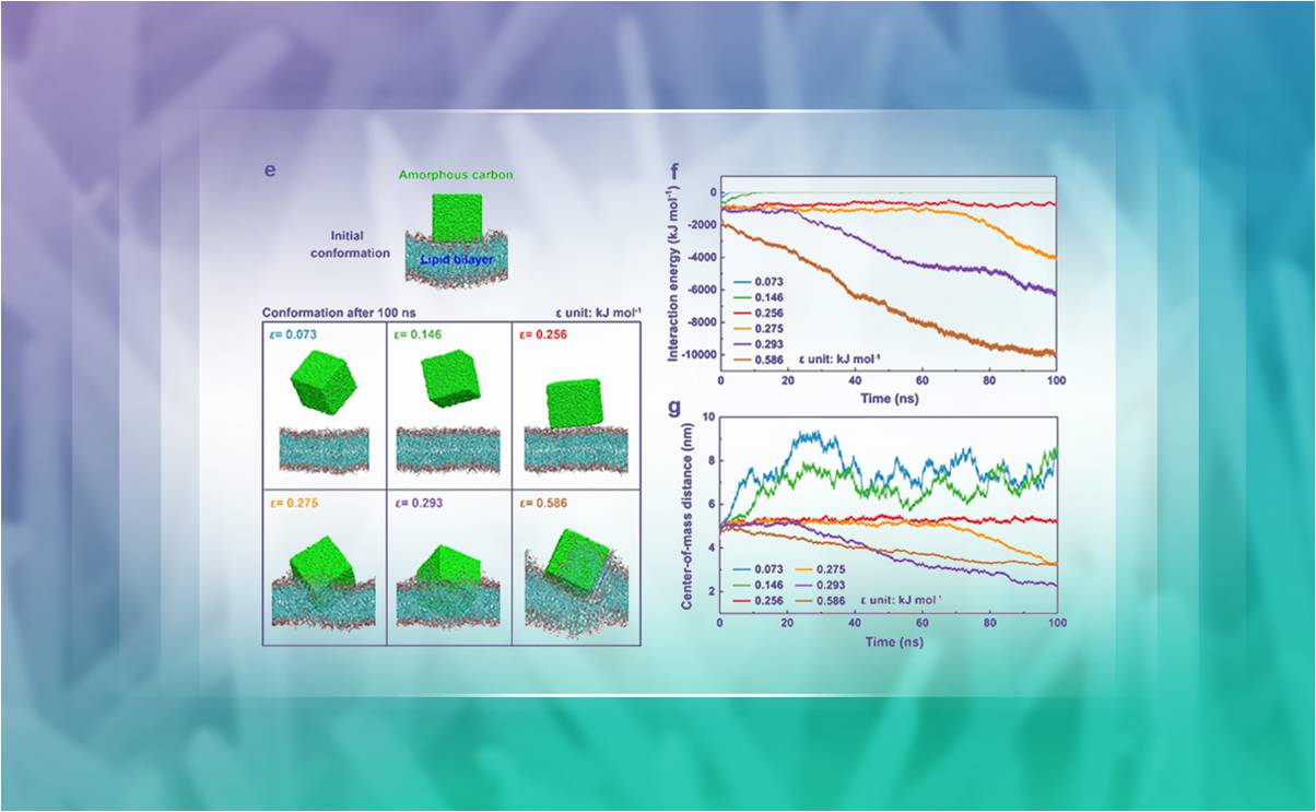2025新澳门开门原料免费