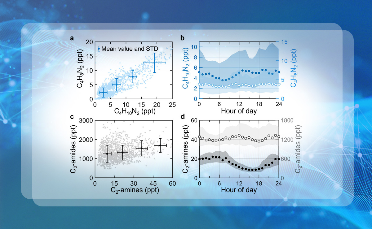 2025新澳门开门原料免费
