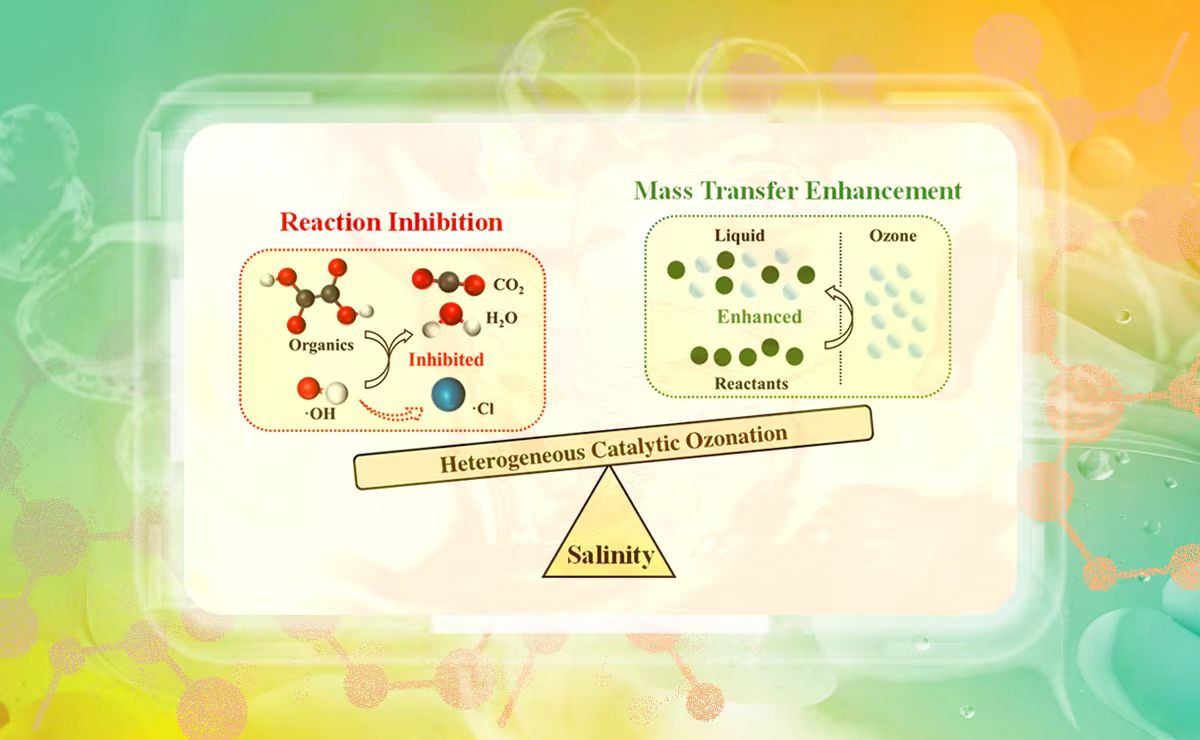 2025新澳门开门原料免费
