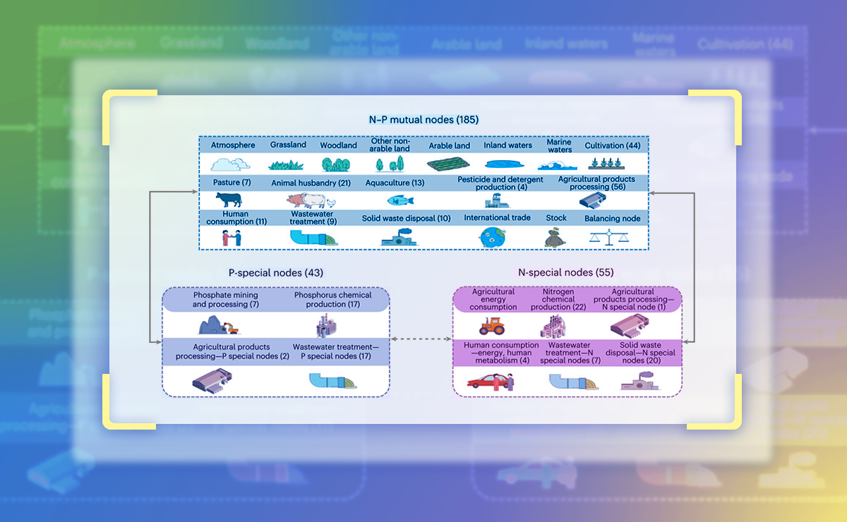 2025新澳门开门原料免费