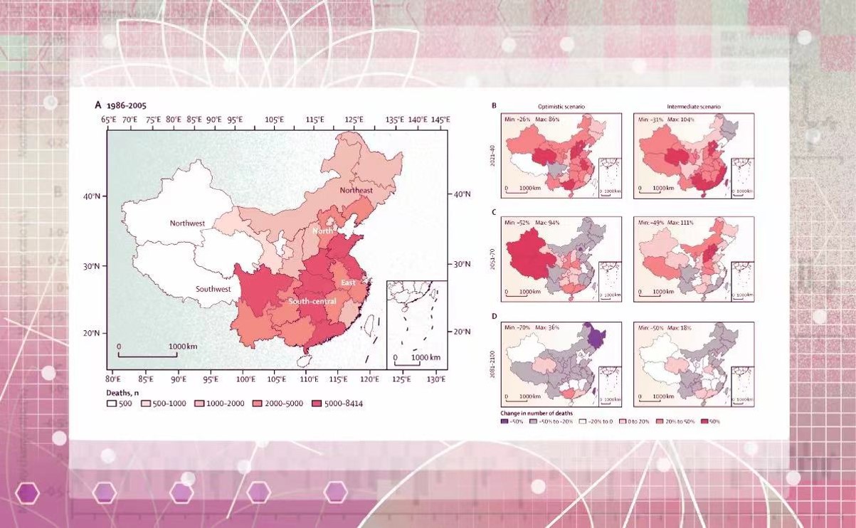 2025新澳门开门原料免费