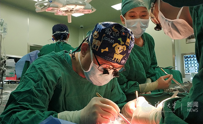 2025新澳门开门原料免费