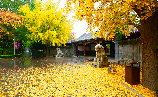 2025新澳门开门原料免费