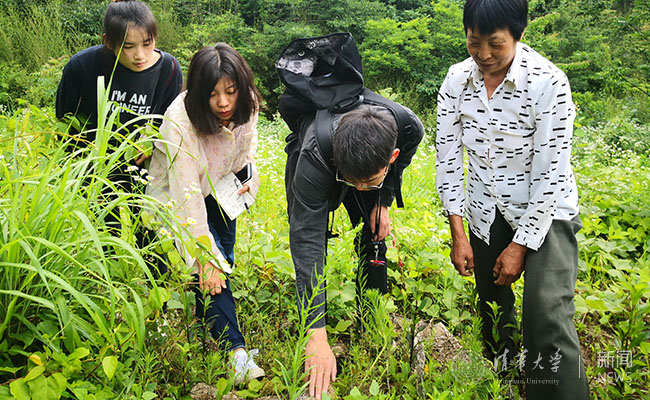 2025新澳门开门原料免费
