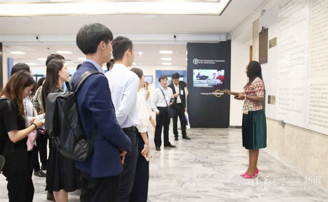 2025新澳门开门原料免费