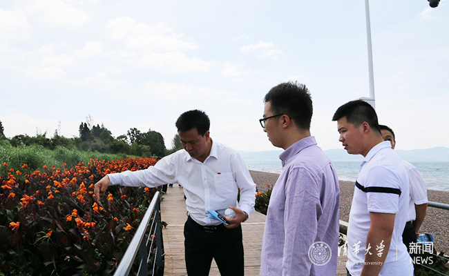 2025新澳门开门原料免费