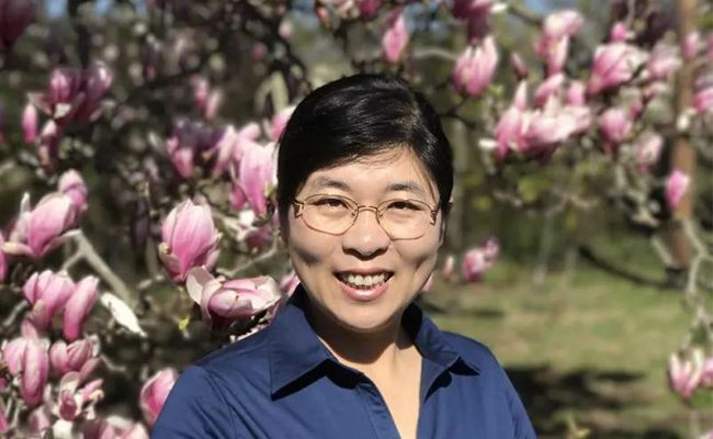 2025新澳门开门原料免费